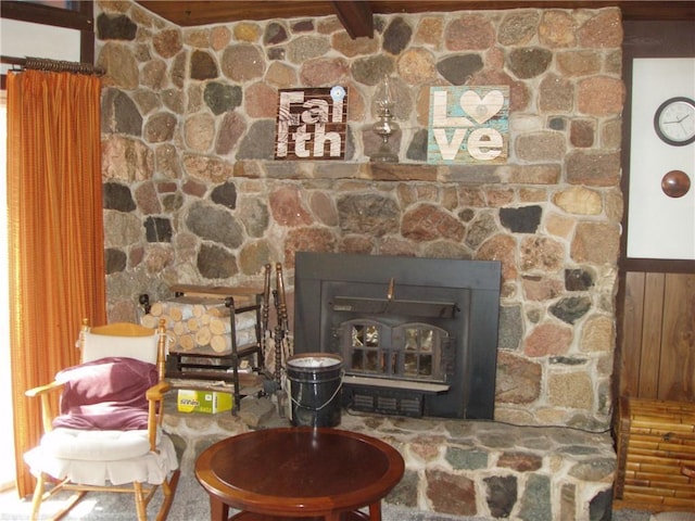 room details with a fireplace and a wood stove