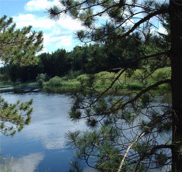 view of water feature featuring a forest view