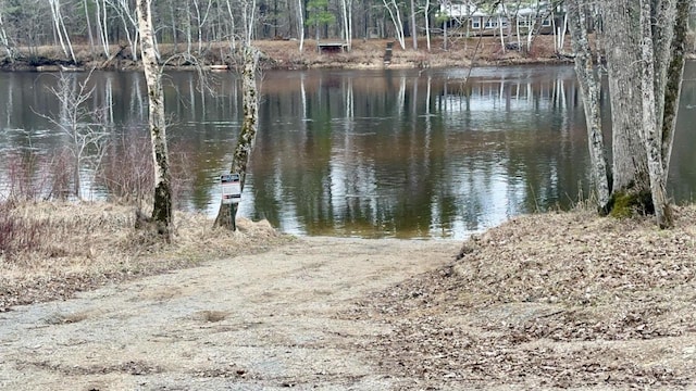 view of water feature