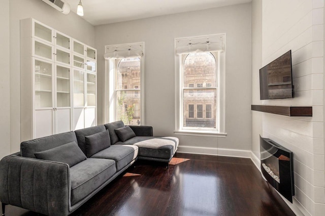 living room with a large fireplace and wood-type flooring