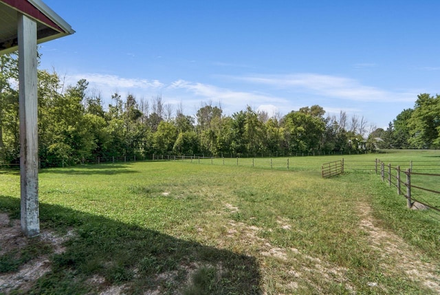 view of yard featuring a rural view