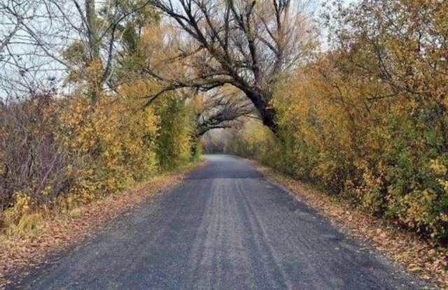 view of road