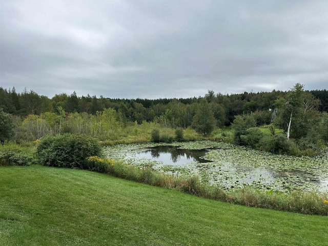 W6769 County Road D, Sheldon, WI 54766 - water view with a heavily wooded area