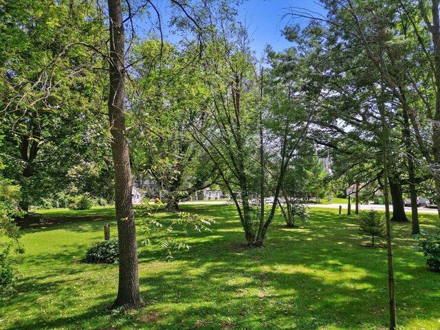 view of community with a lawn