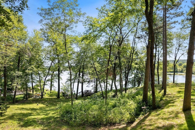 view of nature with a water view