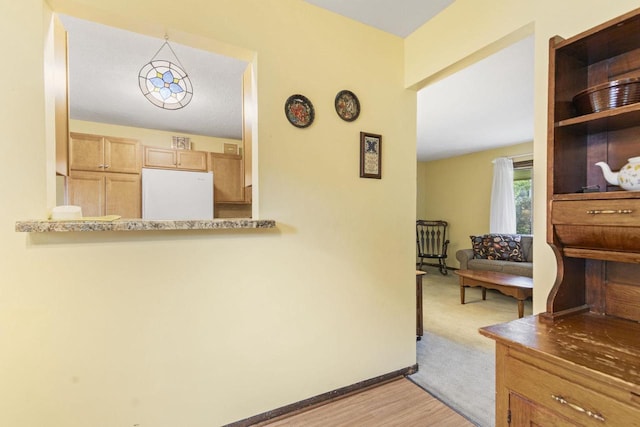 kitchen featuring light hardwood / wood-style flooring and white refrigerator