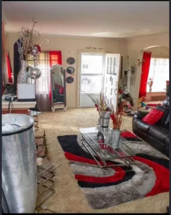 living room featuring carpet flooring and a healthy amount of sunlight