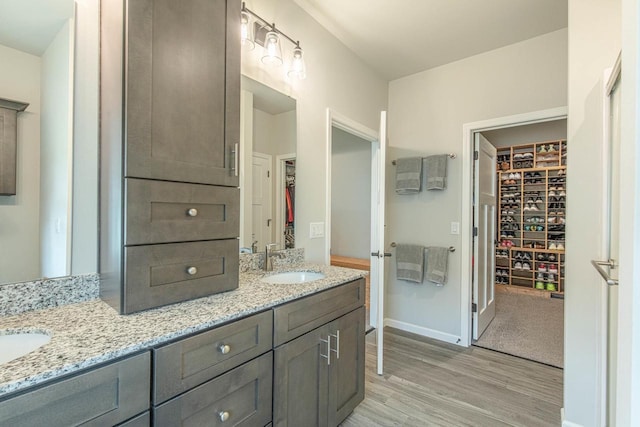 bathroom with hardwood / wood-style flooring and vanity