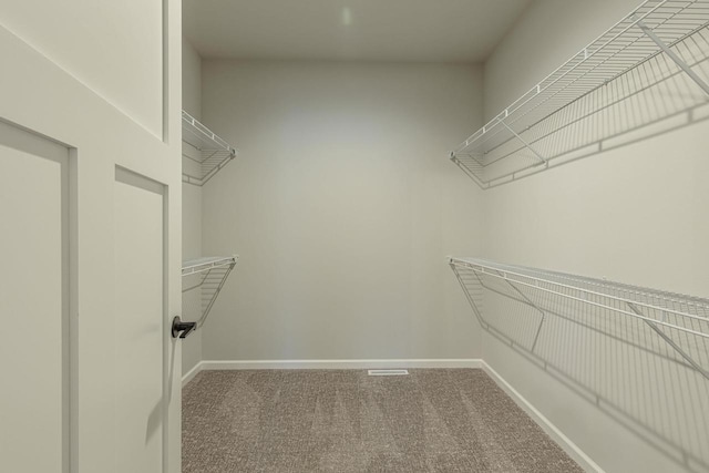 spacious closet featuring carpet floors