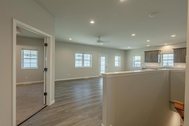 kitchen featuring ceiling fan, wood-type flooring, and sink