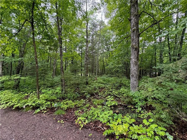 LOT3 Scheers Rd, Hayward, WI 54843