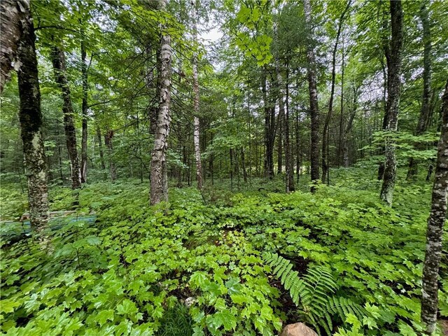 LOT3 Scheers Rd, Hayward, WI 54843