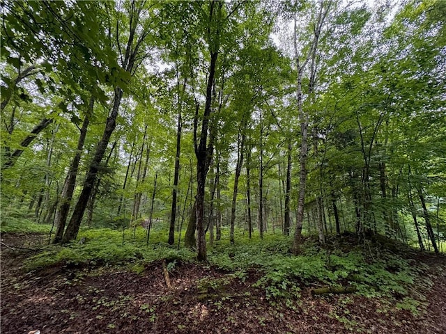 LOT3 Scheers Rd, Hayward, WI 54843