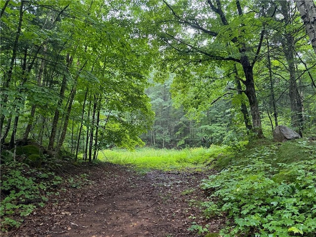 LOT3 Scheers Rd, Hayward, WI 54843