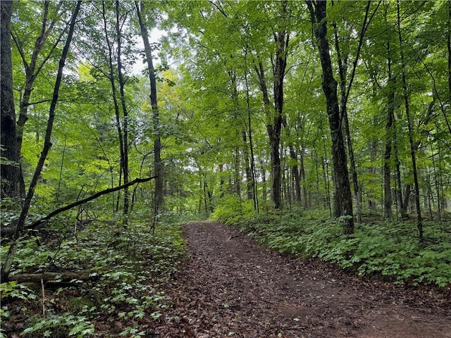 LOT3 Scheers Rd, Hayward, WI 54843