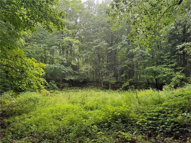 LOT3 Scheers Rd, Hayward, WI 54843