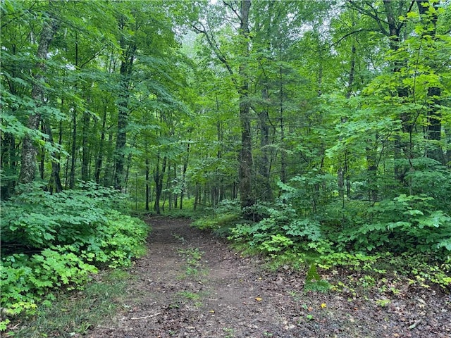 LOT3 Scheers Rd, Hayward, WI 54843