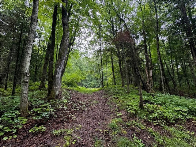 LOT3 Scheers Rd, Hayward, WI 54843