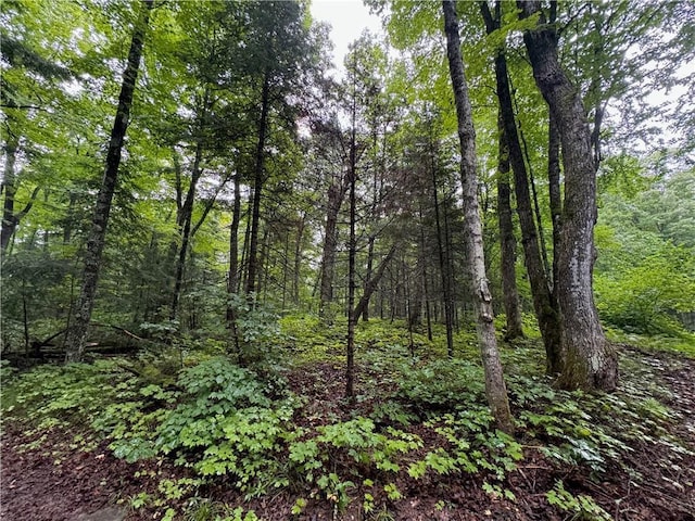 LOT3 Scheers Rd, Hayward, WI 54843