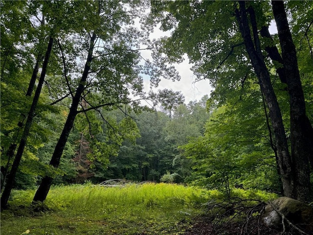 LOT3 Scheers Rd, Hayward, WI 54843