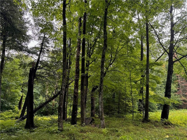 LOT3 Scheers Rd, Hayward, WI 54843