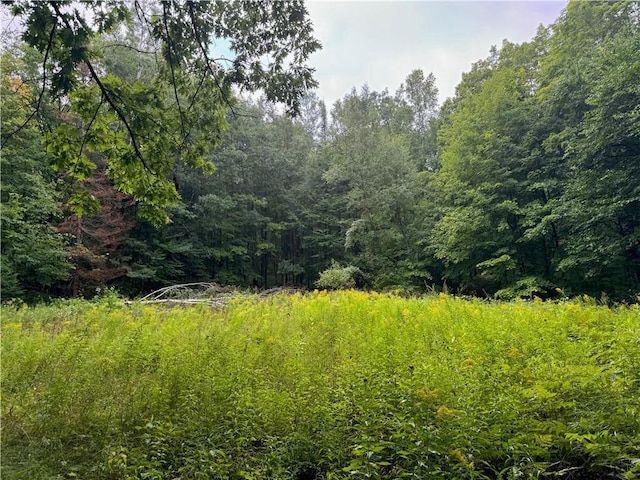 LOT3 Scheers Rd, Hayward, WI 54843