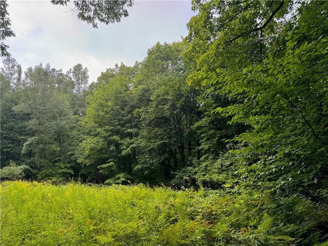 LOT3 Scheers Rd, Hayward, WI 54843