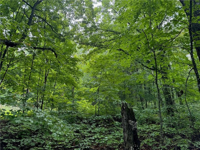 LOT3 Scheers Rd, Hayward, WI 54843