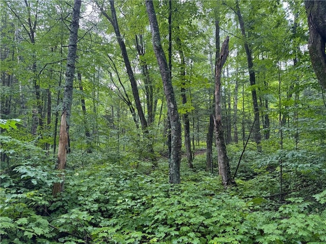 LOT3 Scheers Rd, Hayward, WI 54843