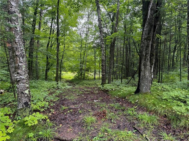 LOT3 Scheers Rd, Hayward, WI 54843