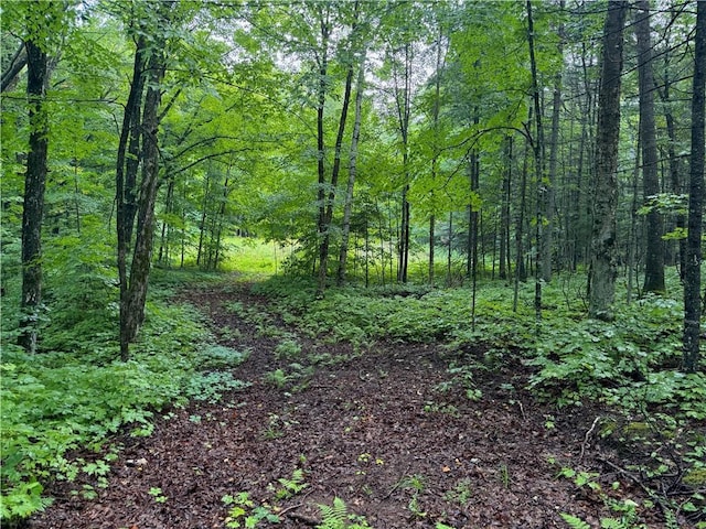 LOT3 Scheers Rd, Hayward, WI 54843