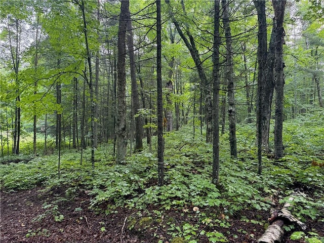 LOT3 Scheers Rd, Hayward, WI 54843