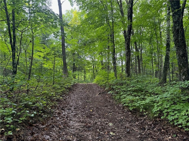 LOT3 Scheers Rd, Hayward, WI 54843