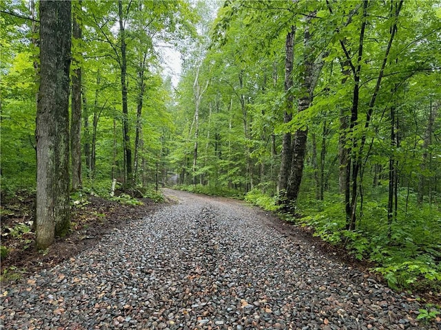 LOT3 Scheers Rd, Hayward, WI 54843