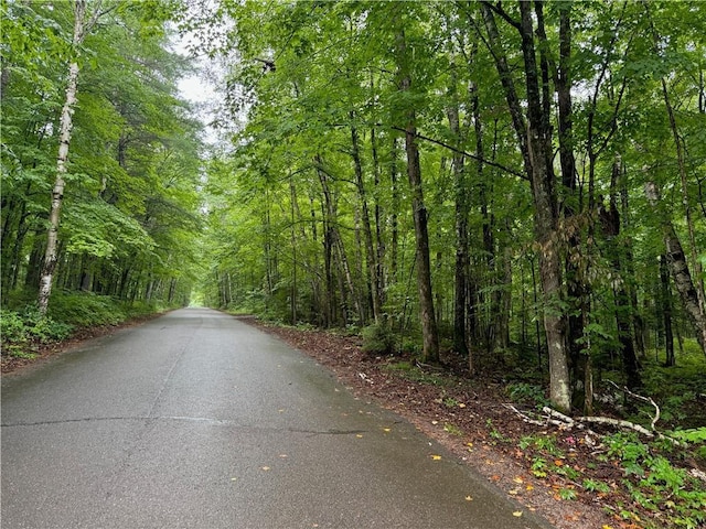 LOT3 Scheers Rd, Hayward, WI 54843
