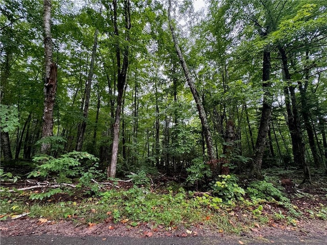 LOT3 Scheers Rd, Hayward, WI 54843