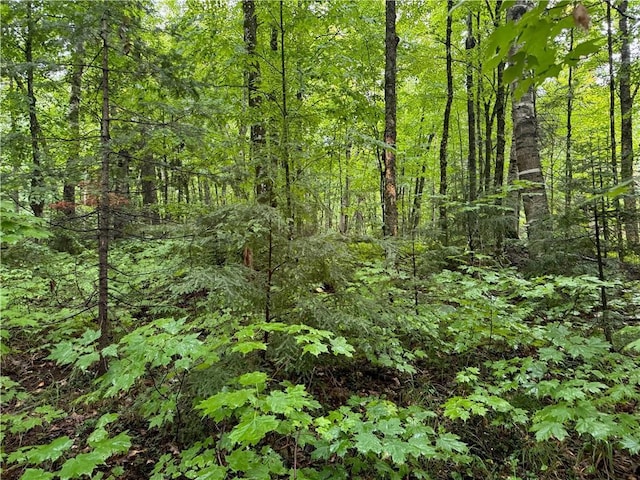 LOT3 Scheers Rd, Hayward, WI 54843