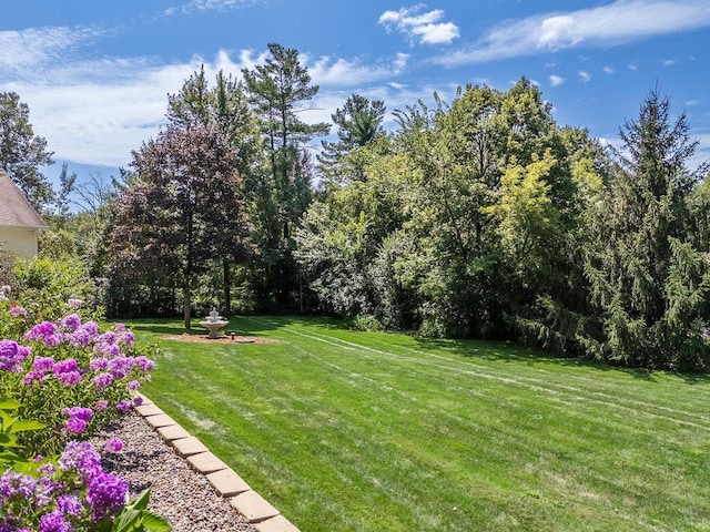S2916A Fairway Dr, Reedsburg, WI 53959 - view of yard