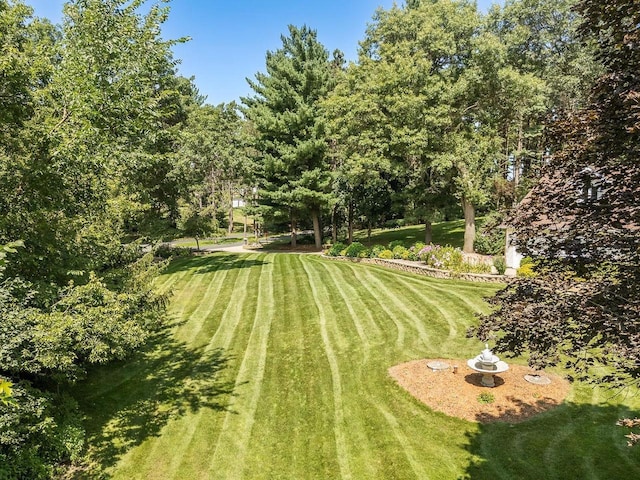 S2916A Fairway Dr, Reedsburg, WI 53959 - view of yard