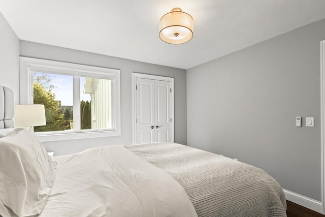 bedroom featuring wood-type flooring and a closet