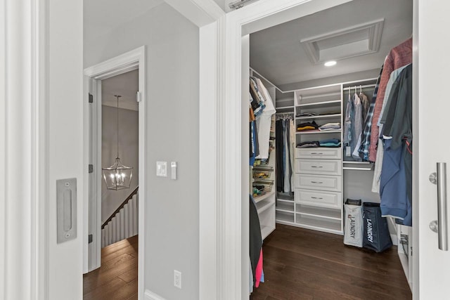 spacious closet with an inviting chandelier and dark wood-type flooring