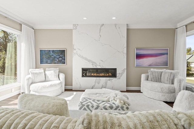 living room with hardwood / wood-style flooring, crown molding, a premium fireplace, and plenty of natural light