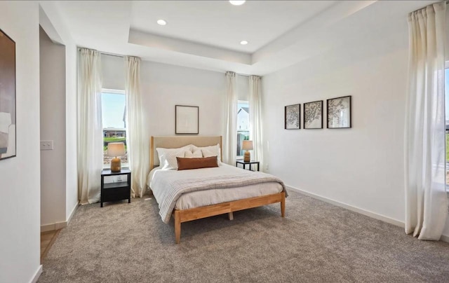 bedroom with carpet and a tray ceiling