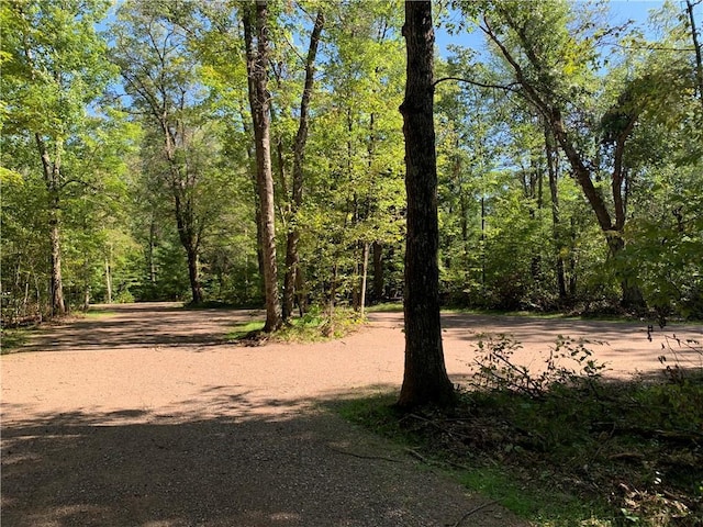 Listing photo 2 for LOT3 Bear Paw Rd, Bruce WI 54819