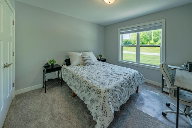 bedroom with carpet floors