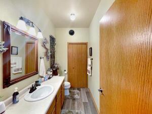 bathroom with hardwood / wood-style flooring, vanity, and toilet