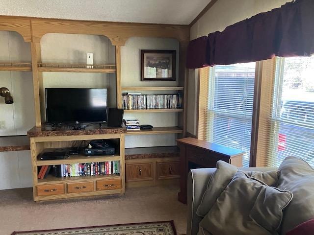 N3567 Manning Dr Unit 45, Montello, WI 53949 - carpeted living area featuring vaulted ceiling