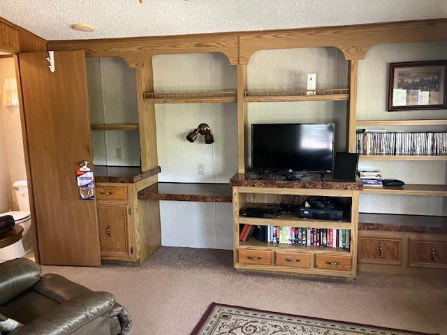 N3567 Manning Dr Unit 45, Montello, WI 53949 - living area featuring carpet floors