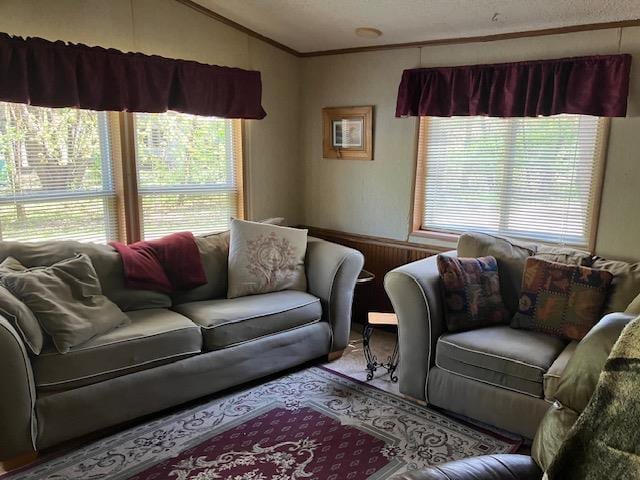 N3567 Manning Dr Unit 45, Montello, WI 53949 - living room featuring lofted ceiling and ornamental molding