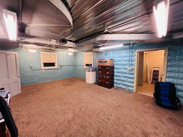 basement featuring carpet floors